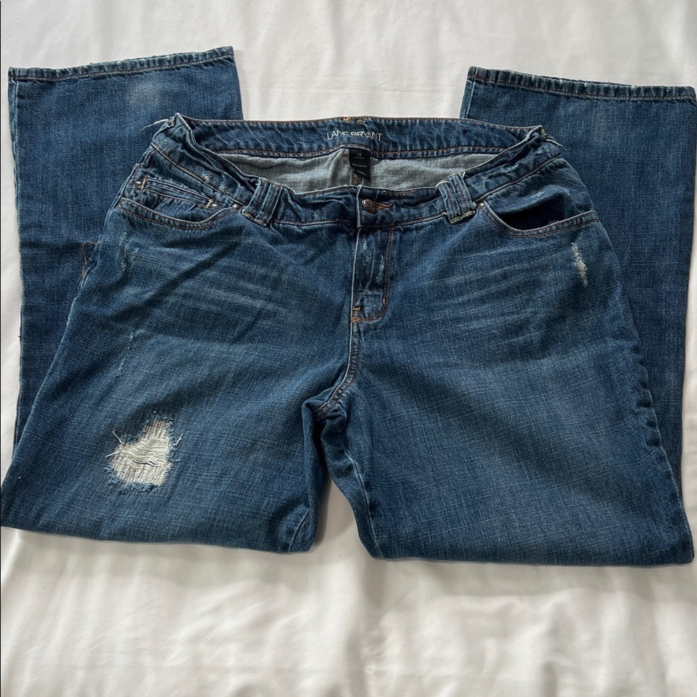 Lane Bryant Distressed Straight Leg Jeans
